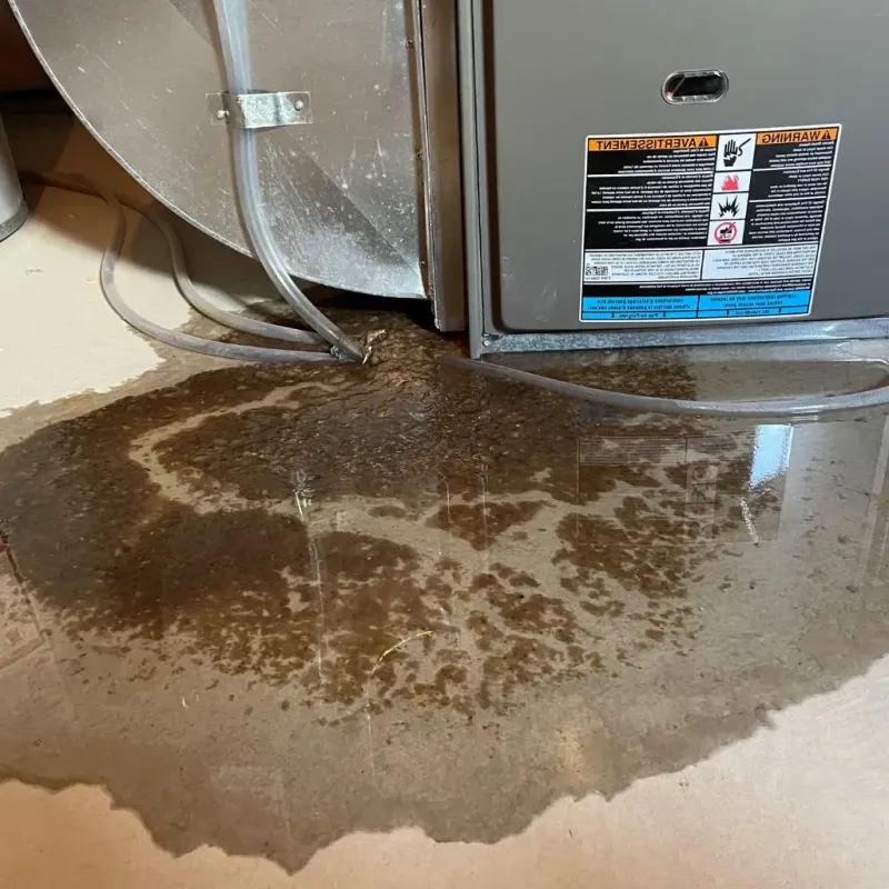 Pipe Burst and Leak Restoration in Kennebec County, ME