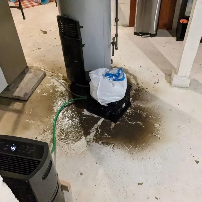 Sewage Backup Cleanup Service in Kennebec County, ME
